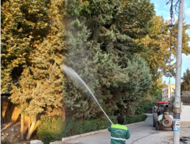 شست وشوی درخت‌ها و درختچه‌های شهر
