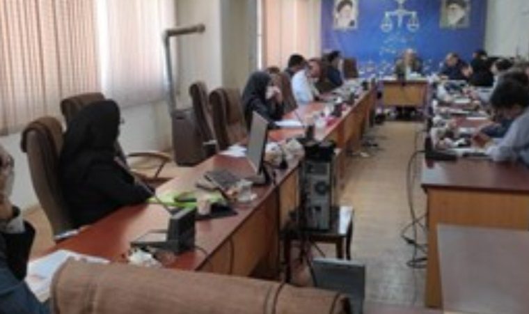 جلسه هماهنگی امور نظارت و بازرسی بر عملکرد شرکت های خدمات رسان دولتی و عمومی