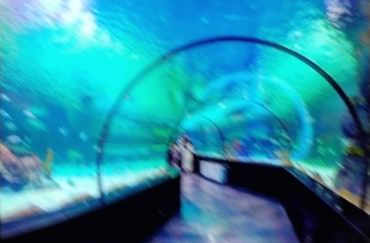 به مناسبت روز مادرتفریح‌گاه‌های اصفهان مهمان مامان باشید