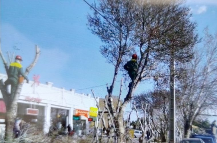 پروژه اتصال آزادراه معلم به بلوار فرزانگان بهرهبرداری شد پروژه اتصال آزادراه معلم به بلوار فرزانگان بهرهبرداری شد