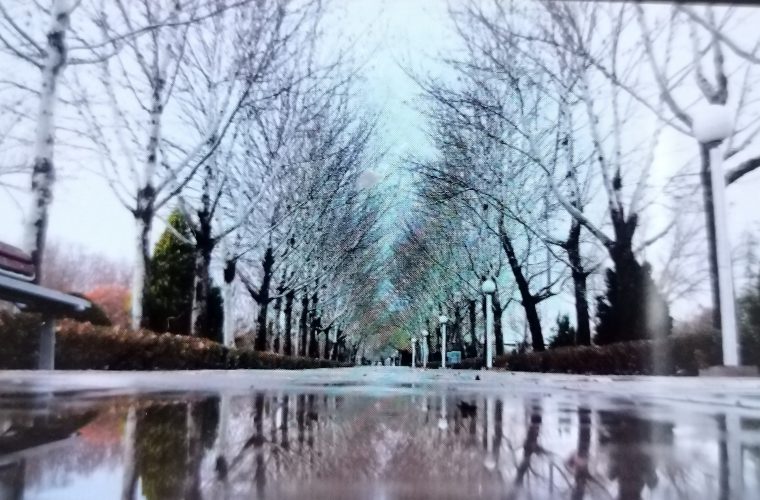 آماده‌باش ۷۵ اکیپ برای مدیریت بارش‌ها و پیشگیری از آب‌گرفتگی در شهر