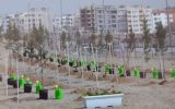 امسال بیش از ۵ هزار اصله درخت در منطقه ۹ اصفهان کاشته شد امسال بیش از ۵ هزار اصله درخت در منطقه ۹ اصفهان کاشته شد
