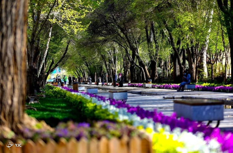 کاشت ۴۵ هزار بوته گل در محور میانی گذر چهارباغ