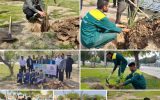 آئین کاشت نهال به مناسبت روز درختکاری توسط شهرداری خرمشهر برگزار شد