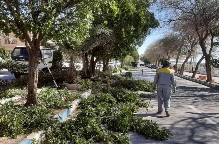 هرس ، فرم دهی و بازپیرایی درختان سطح شهر توسط شهرداری خرمشهر