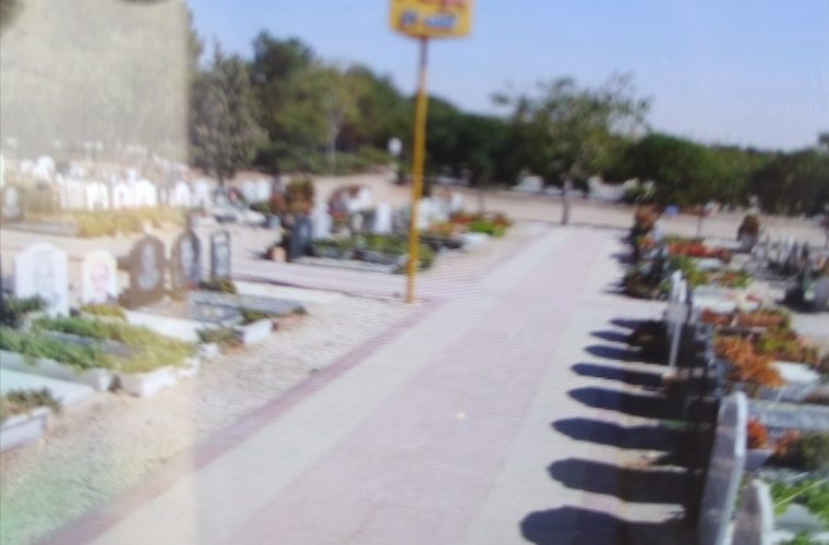 کاشت ۳۱۳ نهال در بهستان باغ رضوان به دست مردم