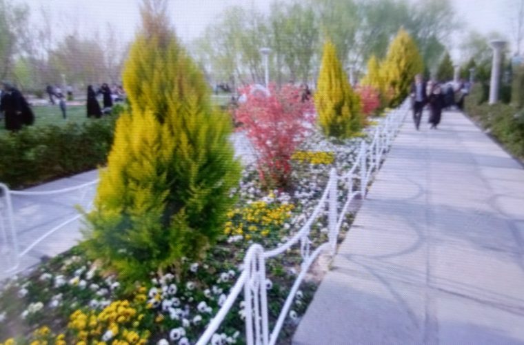 کاشت بیش از ۹۰ هزار گل و ۳۵۰۰ نهال در مراکز گردشگری ناژوان کاشت بیش از ۹۰ هزار گل و ۳۵۰۰ نهال در مراکز گردشگری ناژوان