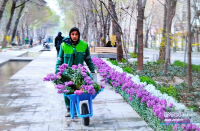 صرف ۵۰ میلیارد ریال هزینه برای گلکاری در منطقه یک صرف ۵۰ میلیارد ریال هزینه برای گلکاری در منطقه یک