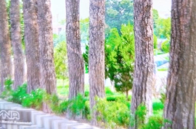 استفاده از تکنولوژی پوشش‌های مشبک بتنی محافظ خاک در اصفهان