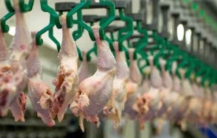محکومیت یک و نیم میلیاردی کشتارگاه مرغ بابت عرضه خارج از شبکه مرغ