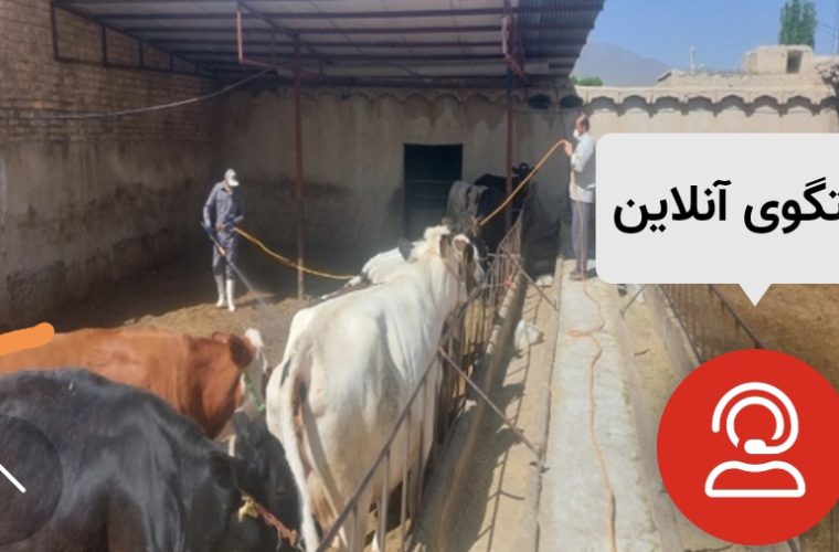 اجرای عملیات سمپاشی جایگاه های نگهداری دام، توسط شبکه دامپزشکی شهرستان گلپایگان