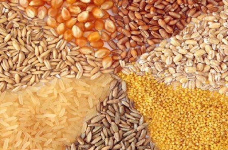 کشف احتکار۷۰تن خوراک دام وطیور