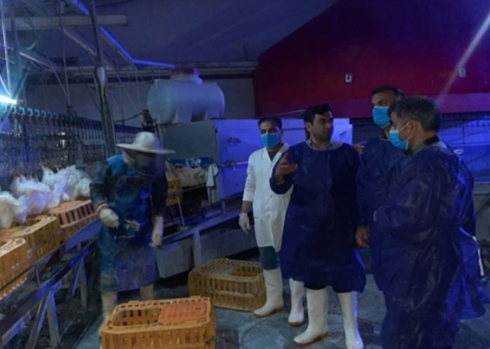 بازدید معاون فرماندار و رئیس شبکه دامپزشکی شهرستان نجف آباد از کشتارگاه طیور این شهرستان بازدید معاون فرماندار و رئیس شبکه دامپزشکی شهرستان نجف آباد از کشتارگاه طیور این شهرستان