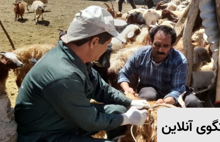 واکسیناسیون دام های سبک مراتع زفره شهرستان کوهپایه با مشارکت جهاد دامپزشکی استان اصفهان واکسیناسیون دام های سبک مراتع زفره شهرستان کوهپایه با مشارکت جهاد دامپزشکی استان اصفهان