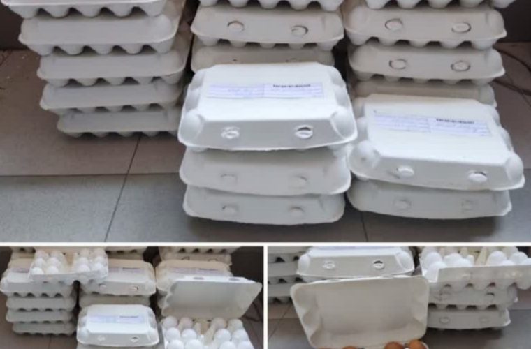 اجرای مرحله اول برنامه ملی پایش باقیمانده های دارو و سموم در تخم مرغ خوراکی در استان اصفهان اجرای مرحله اول برنامه ملی پایش باقیمانده های دارو و سموم در تخم مرغ خوراکی در استان اصفهان