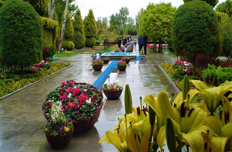 برگزاری ۲۰ عنوان دوره‌ آموزشی فضای سبز شهری و خانگی در سال گذشته