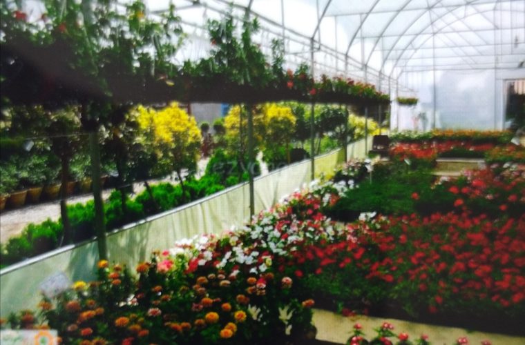 امضای سند همکاری برای تولید ۴۰۰ هزار اصله درخت و درختچه در اصفهان