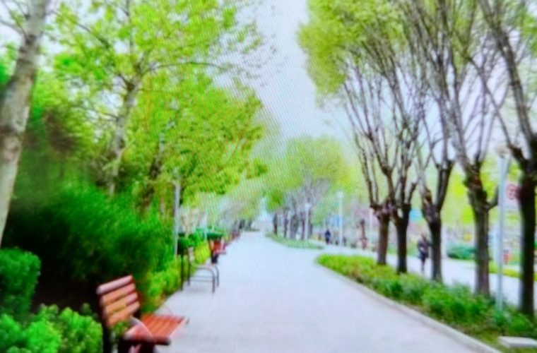 بهسازی پارک محمودآباد با اعتبار ۴۰ میلیارد ریال