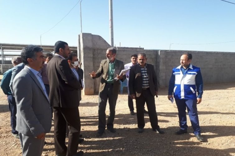 بازدید مشترک فرماندار، داستان عمومی و انقلاب، مدیر جهاد کشاورزی و رئیس شبکه دامپزشکی شهرستان شهرضا از محل میدان دام تازه تاسیس این شهرستان