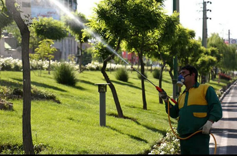 کنترل آفات در ۴ هزار هکتار فضای سبز شهری کنترل آفات در ۴ هزار هکتار فضای سبز شهری