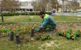 کاشت ۵۰ هزار گلدان گل در فضای سبز منطقه ۱۱