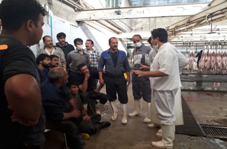 برگزاری جلسه آموزشی توجیهی راه های مقابله و انتقال بیماری تب کریمه کنگو در کشتارگاه دام شهرستان نجف آباد