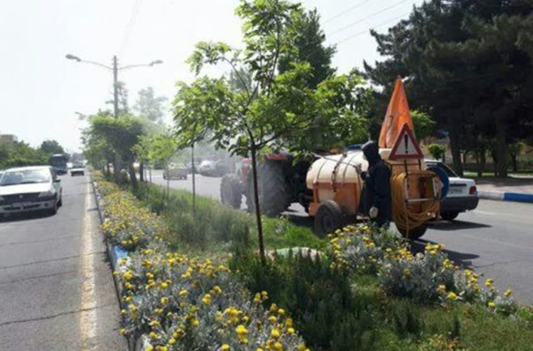 اجرای عملیات سم‌پاشی درختان در منطقه ۵ با ۸۷۶ میلیون تومان اعتبار