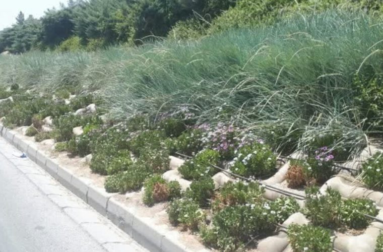 بتن مشبک بهترین گزینه برای استقرار گیاه در شیب بزرگراههای اصفهان بتن مشبک بهترین گزینه برای استقرار گیاه در شیب بزرگراههای اصفهان