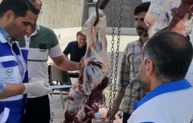 نظارت بهداشتی بر سلامت دامهای ذبح شده توسط شبکه دامپزشکی شهرستان نطنز
