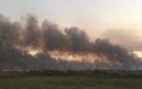 دود آتش‌سوزی تالاب هورالعظیم همچنان خوزستانی‌ها را می‌آزارد