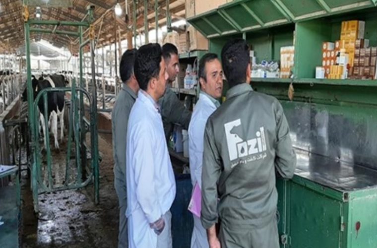 بازدید کارشناس تشخیص و درمان اداره کل دامپزشکی استان از یک واحد گاوداری صنعتی در شهرستان مبارکه