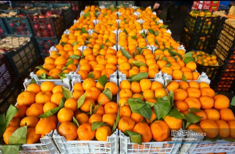راه اندازی بازارهای میوه در سه نقطه شهر تا پایان آبان ماه امسال راه اندازی بازارهای میوه در سه نقطه شهر تا پایان آبان ماه امسال