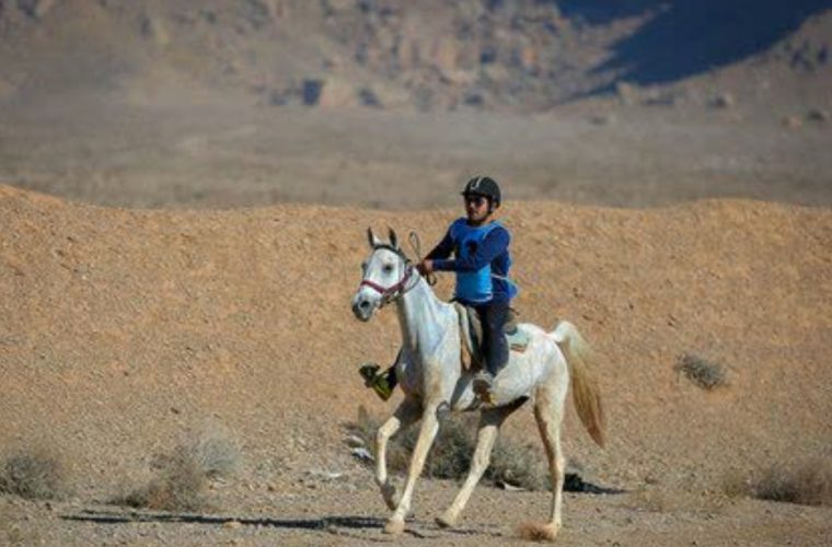مکان یابی احداث مدرسه و مانژ سوارکاری در اصفهان مکان یابی احداث مدرسه و مانژ سوارکاری در اصفهان