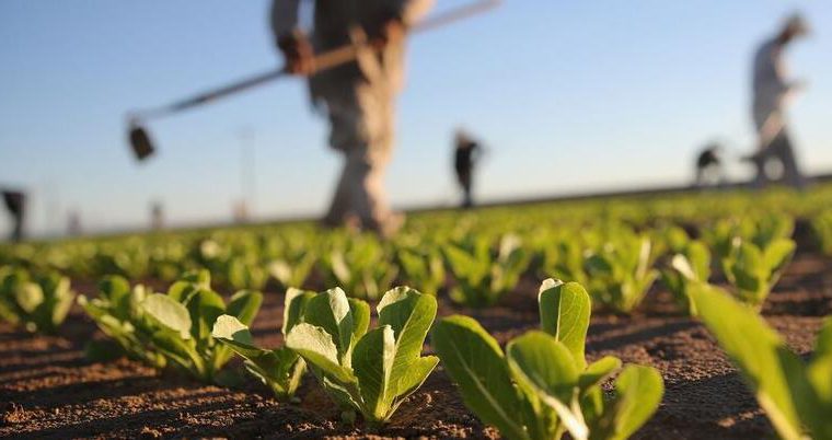 به منظور رفاه شهروندان سه محل برای عرضه مستقیم محصولات کشاورزی در نظر گرفته شد