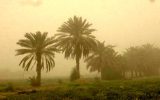 هوای ۴ شهر خوزستان ناسالم برای گروه‌های حساس