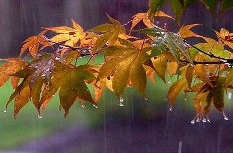 دزپارت پربارش‌ترین شهر خوزستان