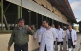بازدید و نظارت کارشناسان سازمان دامپزشکی کشور از یک واحد گاوداری در شهرستان مبارکه بازدید و نظارت کارشناسان سازمان دامپزشکی کشور از یک واحد گاوداری در شهرستان مبارکه