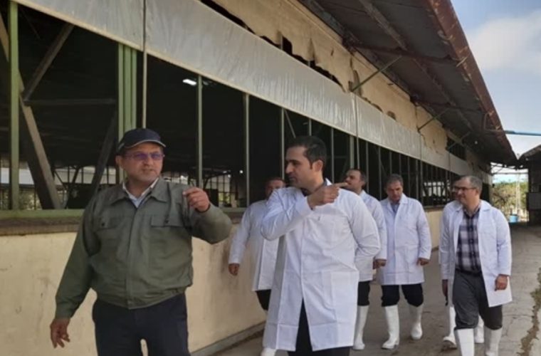 بازدید و نظارت کارشناسان سازمان دامپزشکی کشور از یک واحد گاوداری در شهرستان مبارکه