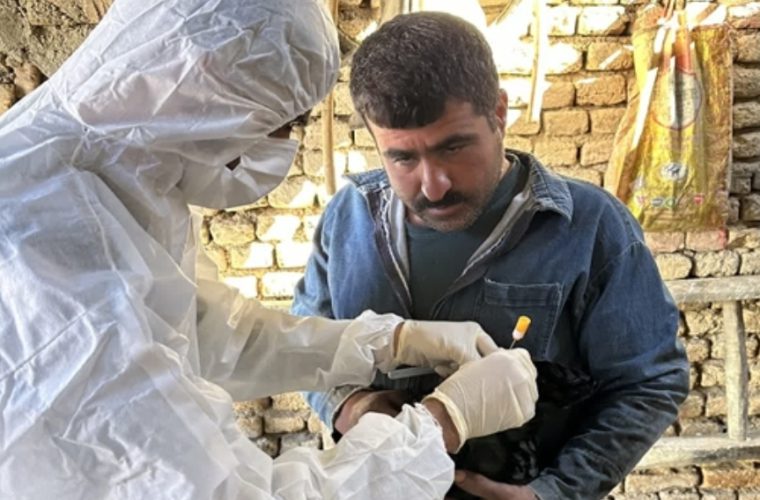 اجرای طرح اپیدمیولوژیک ردیابی مولکولی آنفلوانزای فوق حاد پرندگان (H۵ ) در طیور بومی شهرستان تیران و کرون