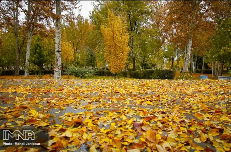 اقدامات ویژه سازمان پارکها برای فصل پاییز