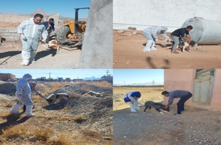 برگزاری مانور پدافند غیرعامل در شهرستان تیران و کرون برگزاری مانور پدافند غیرعامل در شهرستان تیران و کرون