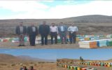اجرای طرح سرشماری زنبور عسل در شهرستان خوانسار اجرای طرح سرشماری زنبور عسل در شهرستان خوانسار