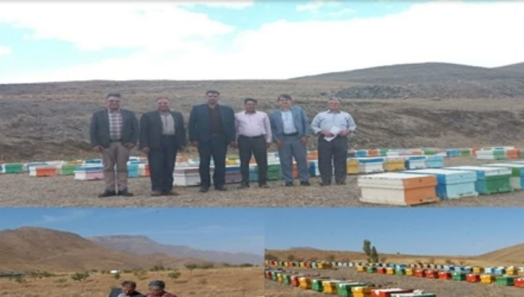 اجرای طرح سرشماری زنبور عسل در شهرستان خوانسار