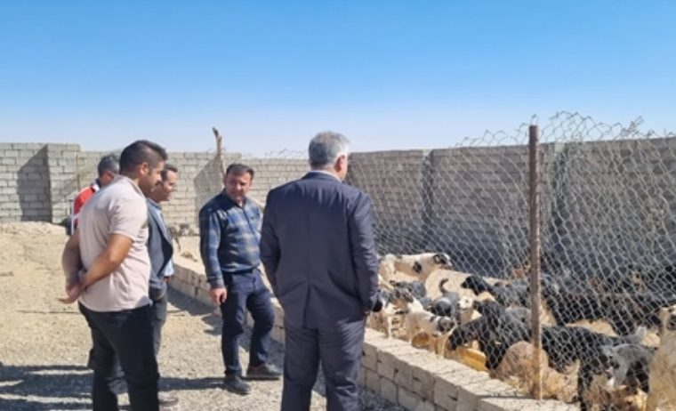 بازدید سرپرست شبکه دامپزشکی و رئیس خدمات شهری و معاونت شهرداری از پناهگاه سگ های ولگرد تیران و کرون بازدید سرپرست شبکه دامپزشکی و رئیس خدمات شهری و معاونت شهرداری از پناهگاه سگ های ولگرد تیران و کرون
