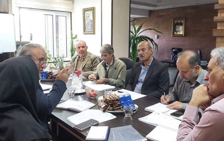 تشکیل جلسه هماهنگی امور بیمه دانا