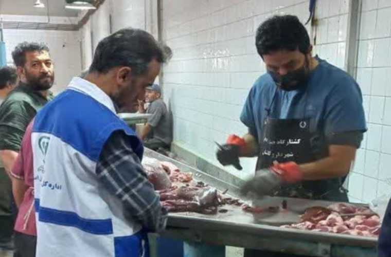 بازدید نظارتی رئیس شبکه دامپزشکی کاشان از کشتارگاه صنعتی دام شهرستان بازدید نظارتی رئیس شبکه دامپزشکی کاشان از کشتارگاه صنعتی دام شهرستان