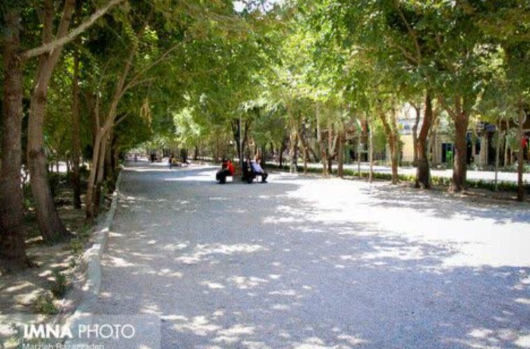 کاشت گونه‌های مقاوم به خشکی در معابر اصلی شهر