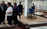 حذف بیش از ۵ هزار کیلوگرم گوشت غیربهداشتی از چرخه مصرف انسانی در کشتارگاه دام شهرستان نطنز حذف بیش از ۵ هزار کیلوگرم گوشت غیربهداشتی از چرخه مصرف انسانی در کشتارگاه دام شهرستان نطنز