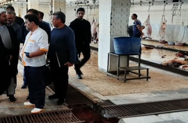 حذف بیش از ۵ هزار کیلوگرم گوشت غیربهداشتی از چرخه مصرف انسانی در کشتارگاه دام شهرستان نطنز