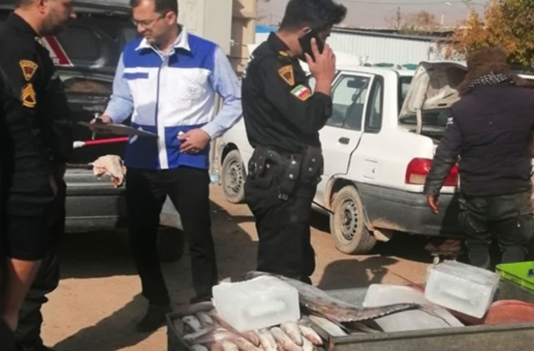 طرح جمع آوری و برخورد با عرضه کنندگان سیار و دوره گرد شیلات و آبزیان در شهرستان نجف آباد طرح جمع آوری و برخورد با عرضه کنندگان سیار و دوره گرد شیلات و آبزیان در شهرستان نجف آباد